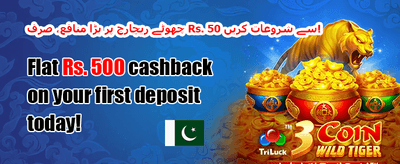 دوست کو دعوت دیں بونس promotion
